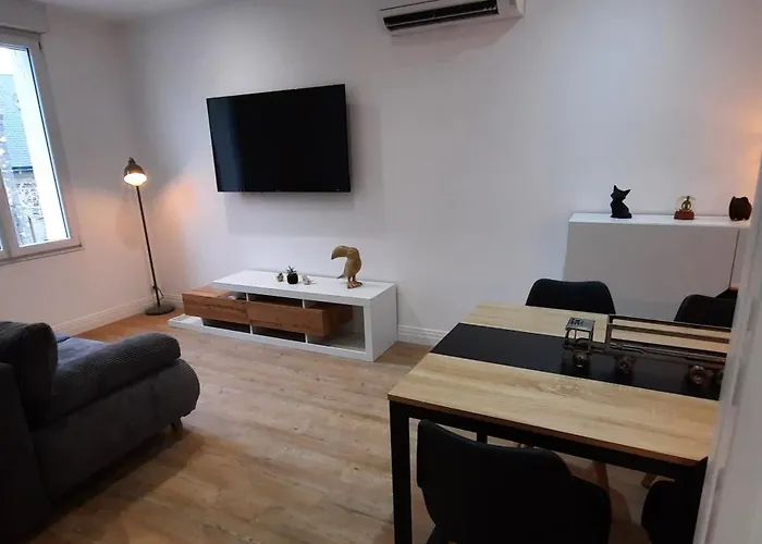 Chaleureux 50m2 Hypercentre Lejlighed